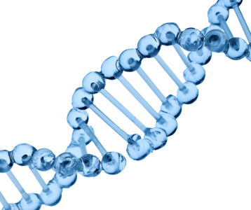 Genomics